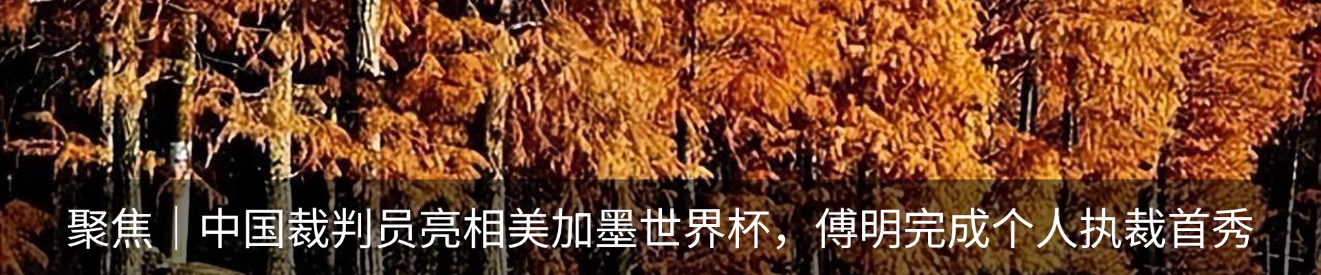 新闻动态